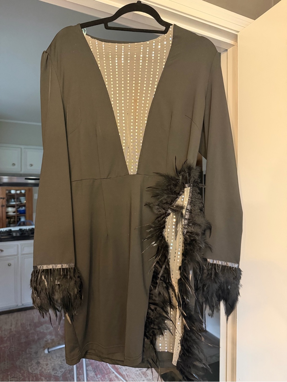 Black Feather-Trim Long Sleeve Dress with Gem Accents